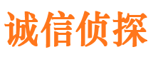 加查寻人公司